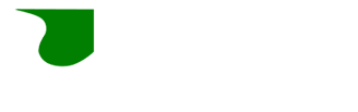 demars international